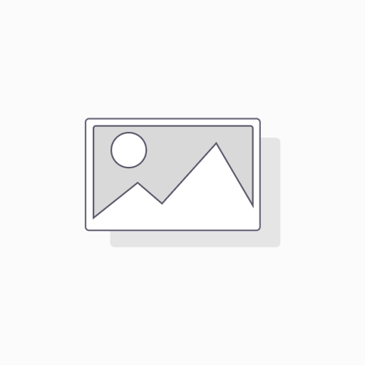 SAC PENGUIN LAPTOP